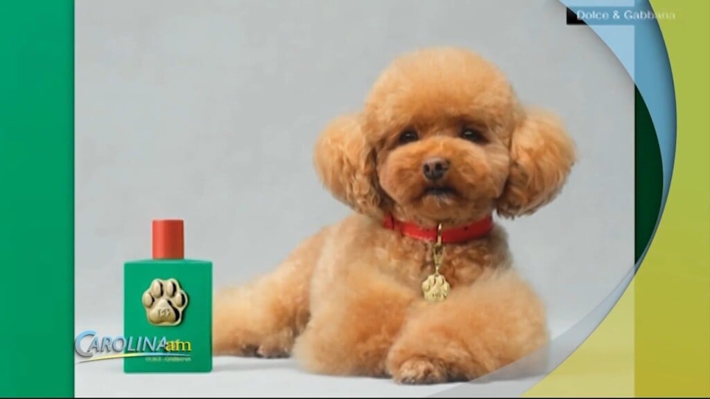 Dog Perfume