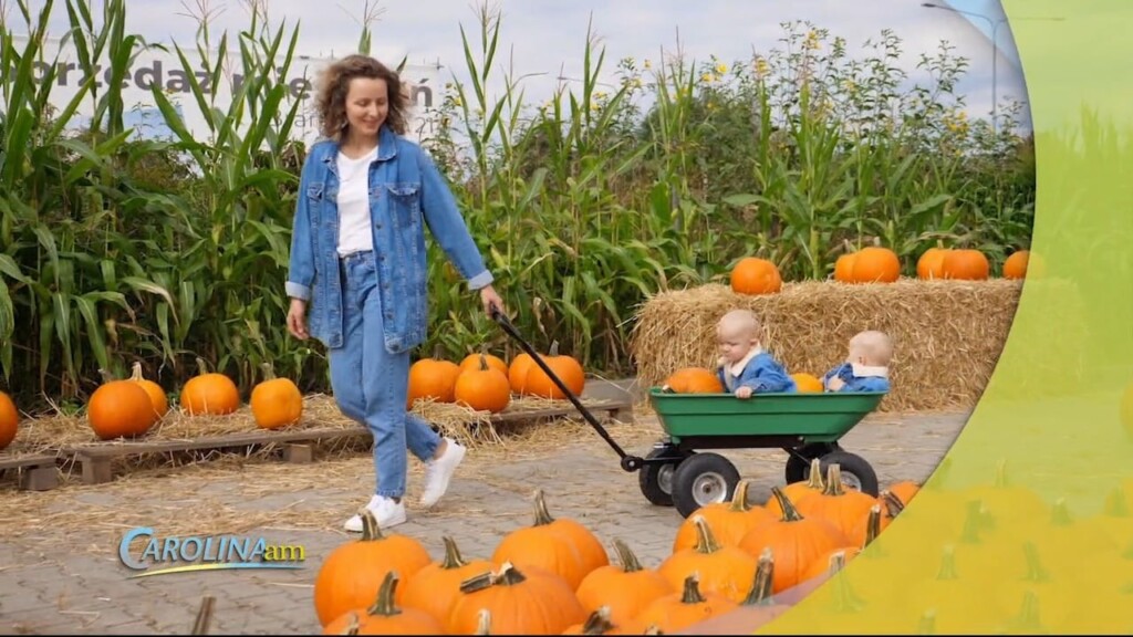 Fall Prep