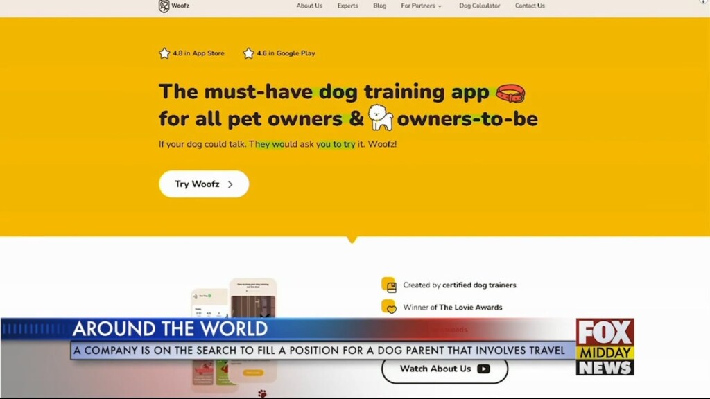 Dogs