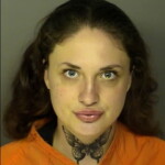 Fowler Payton Kenleigh Receiving Stolen Goods Under 2000 Sale Or Delivery Of Pistol To And Possession By Certain Persons Unlawful Pointing And Presenting Firearms At A Person