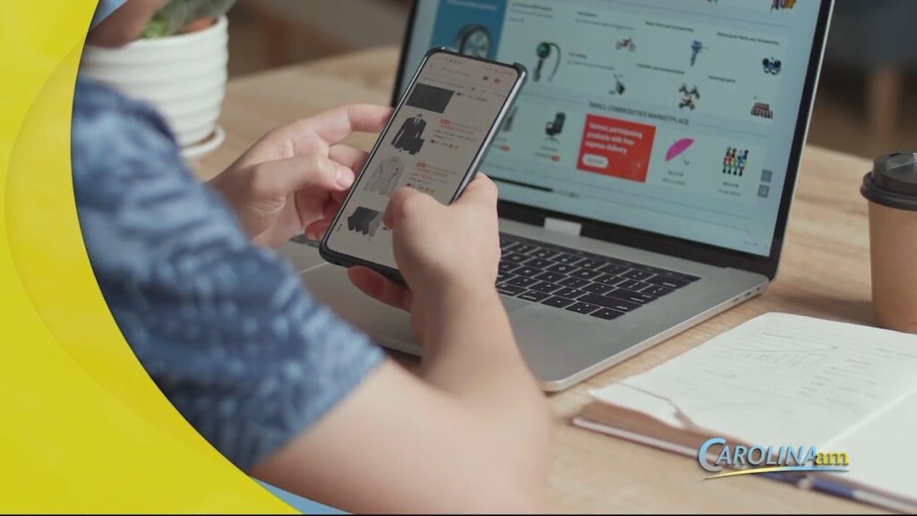 Phone Vs Laptop Shopping