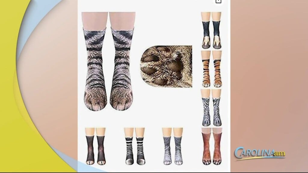 Amazon Finds