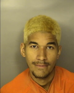 Rodriguez Adalberto Antonio Pedestrians On Highways Stopping Standing Or Parking Prohibited In Specified Places Exceptions