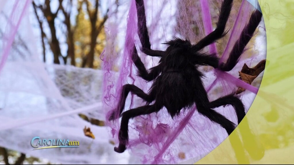 Halloween Stuff