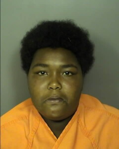 Simmons Diamond Anastasia Malicious Injury Damage To Personal Propertyvalue