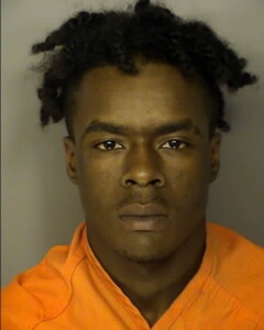 Dean Jmiel Elijah Trespassing Common Law Robbery Strong Arm Robbery Possconcealsell Or Dispose Of Stolen Vehicle