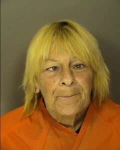 Nye Lora Denise Driving Under Suspension Use Of License Plate On Vehicle Other Than Vehicle For Which Plate Was Issued