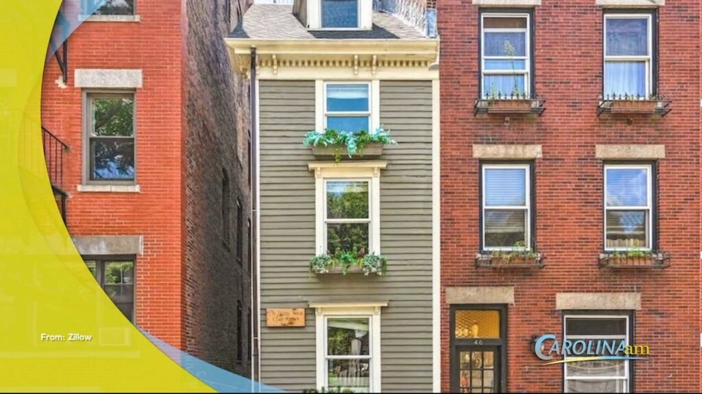 Skinny House