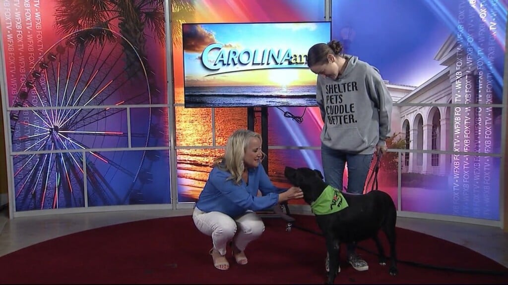 Gs Humane 101124