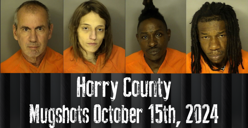 Horry County Mugshots October 15th, 2024 WFXB