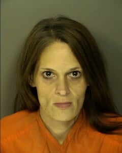 Horan Kaitlyn Noel Unlawful Conduct Toward A Child Sleeping In Motor Vehicle