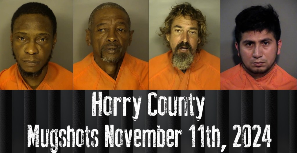 Horry Mugshot For November 11th 2024