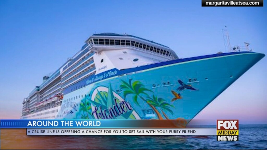 Cruise