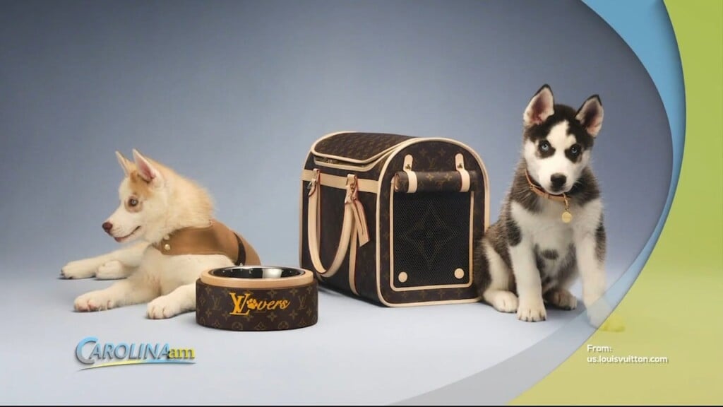 Louis Vuitton Debuts Dog Products WFXB