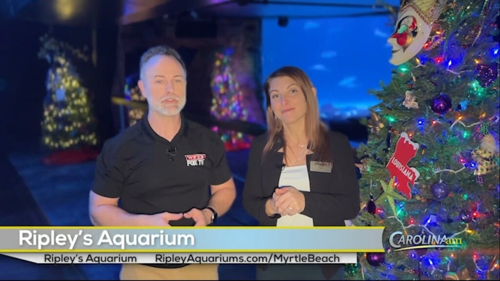 Ripleys 122024
