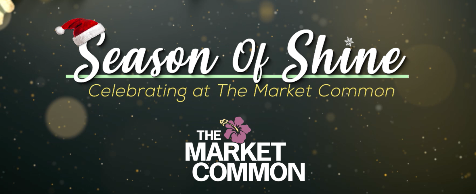 Screen Shot 2024 12 03 At 114742 Am