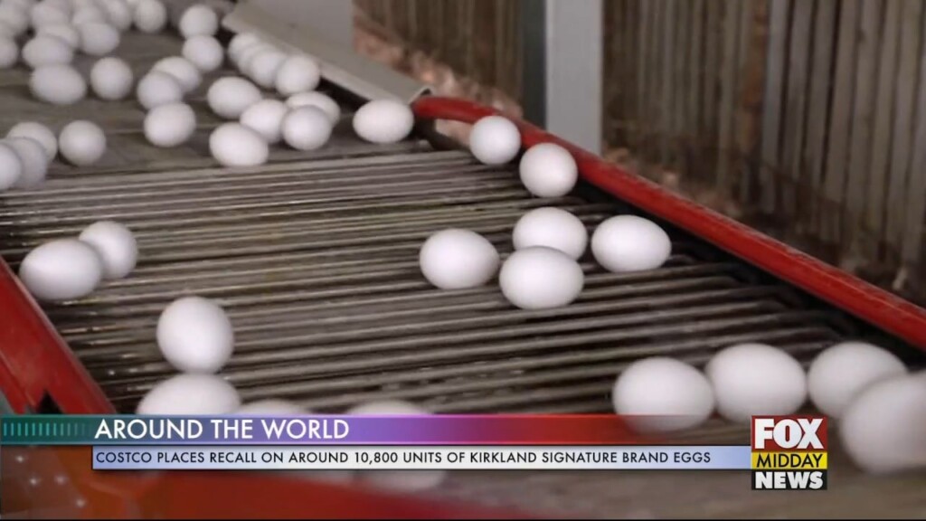 Eggs