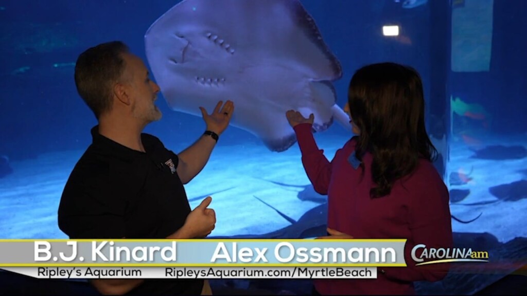 Ripley's 012425