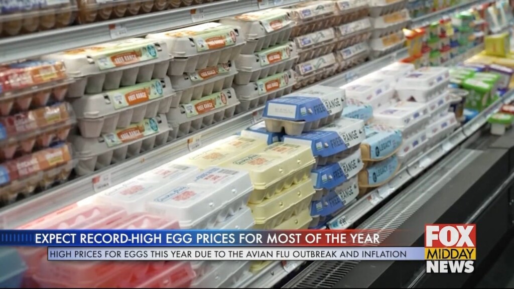 Eggs