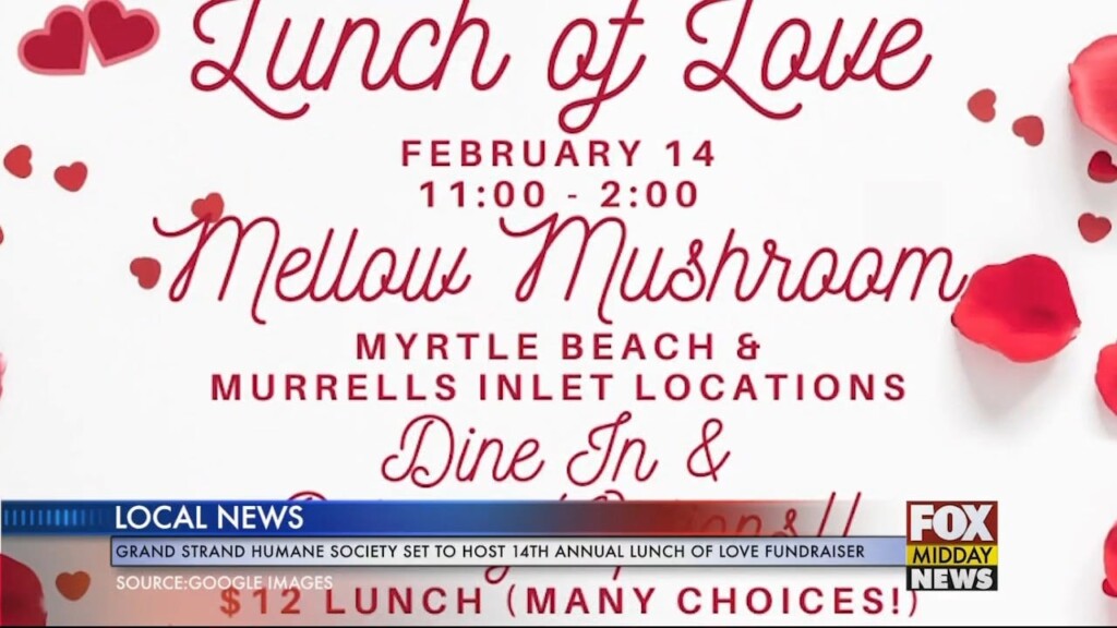 Lunch