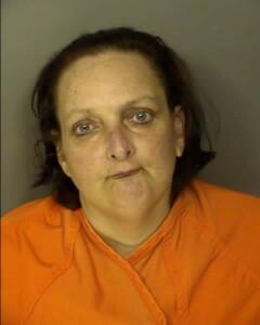 Somerlott Christina Rose Driving Under The Influence Childendanger Commit Certain Drugalcohol Related Veh Off With Minor In Veh Hit And Run Duties Of Driver Involved In Accident Property Damage