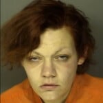 Gardner Destiney Marie No Charges Listed