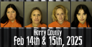 Mugshot For Featured