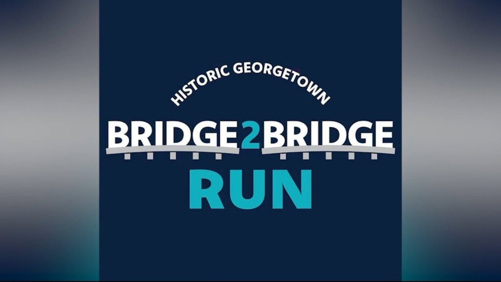 Bridge Run