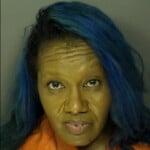 Singletary Andrea Nicole Speeding Over 25 Mph Over The Speedlimit Driving Under Suspension License Not Suspended For Dui 3rd Or Sub Offense