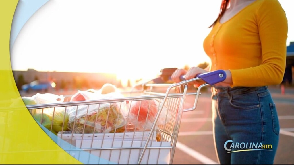Grocery Cart