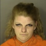 Johnson Amanda Ellen Breach Of Trust With Fraudulent Intentvalue Over 1000 Up To 5000