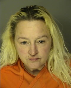 Carothers Celia Andrea Public Disorderly Public Intoxication Resisting Arrest