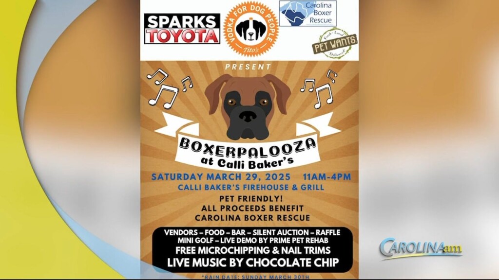 Boxerplooza 031125