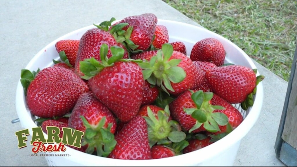 Hom Sweet Farm