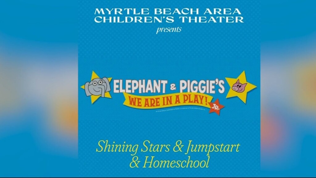 Mbact Elephant