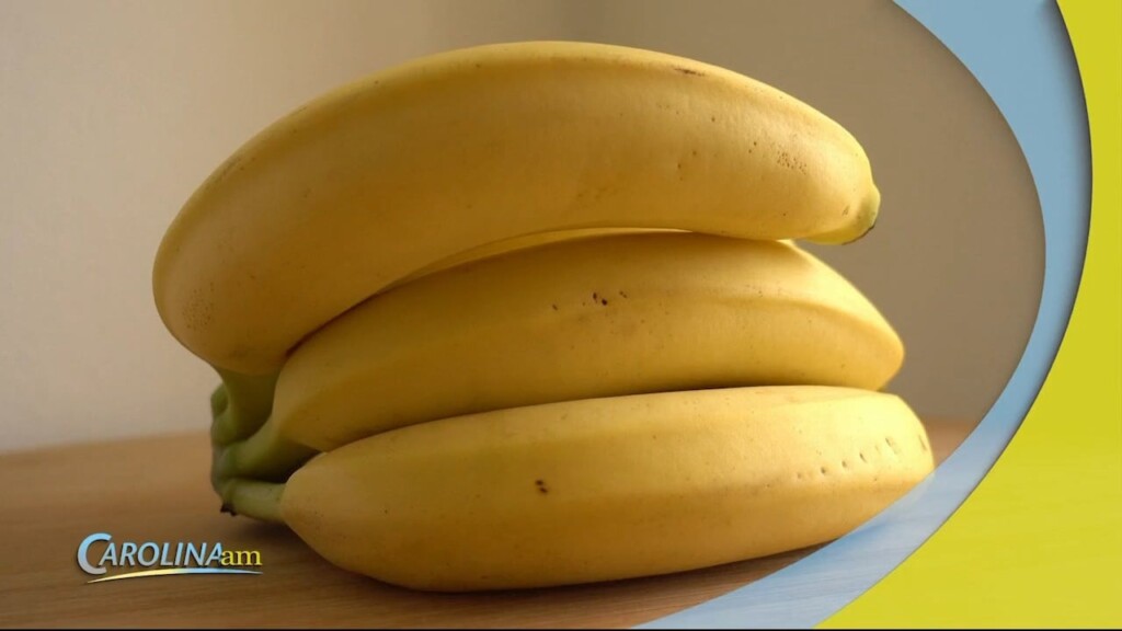 Bananas