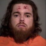 Browning Bryan Everett Petit Or Simple Larceny Under 2000