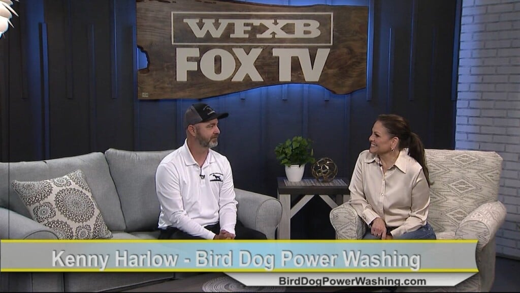Bird Dog