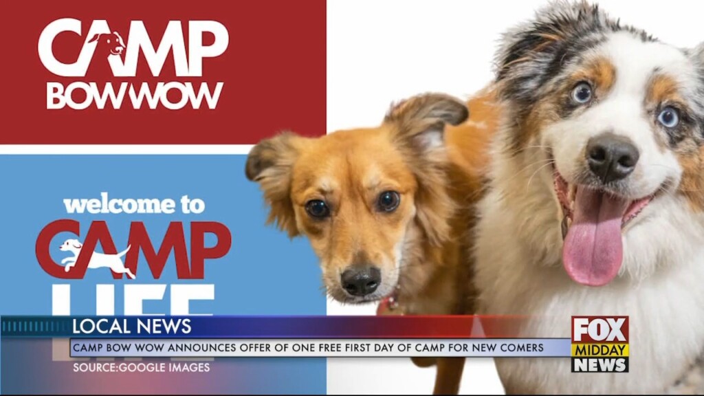 Paw