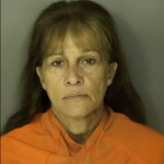 Stover Sandra Paulette Petit Or Simple Larceny Under 2000