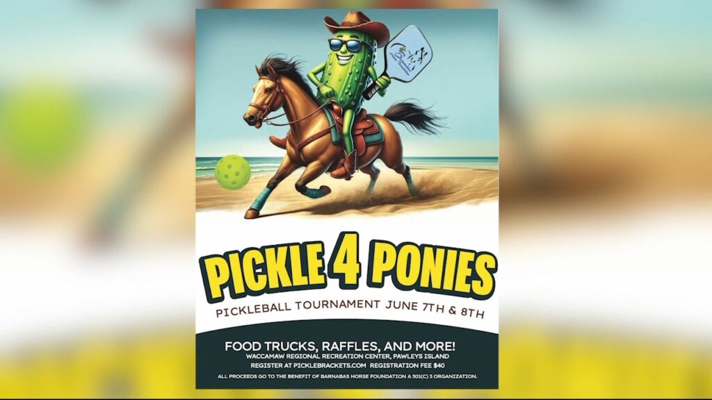 Pickle 4 Ponies