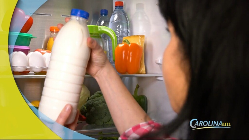 Fridge