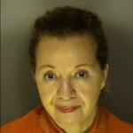 Andrews Gail Kathy Carrying Or Displaying Firearms In Public Buildings Or Adjacent Areas