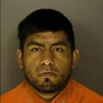 Vega Manuel Cristian Driving Without A License