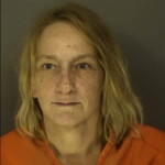 Martin Carrie Ann Public Disorderly Conduct Generally