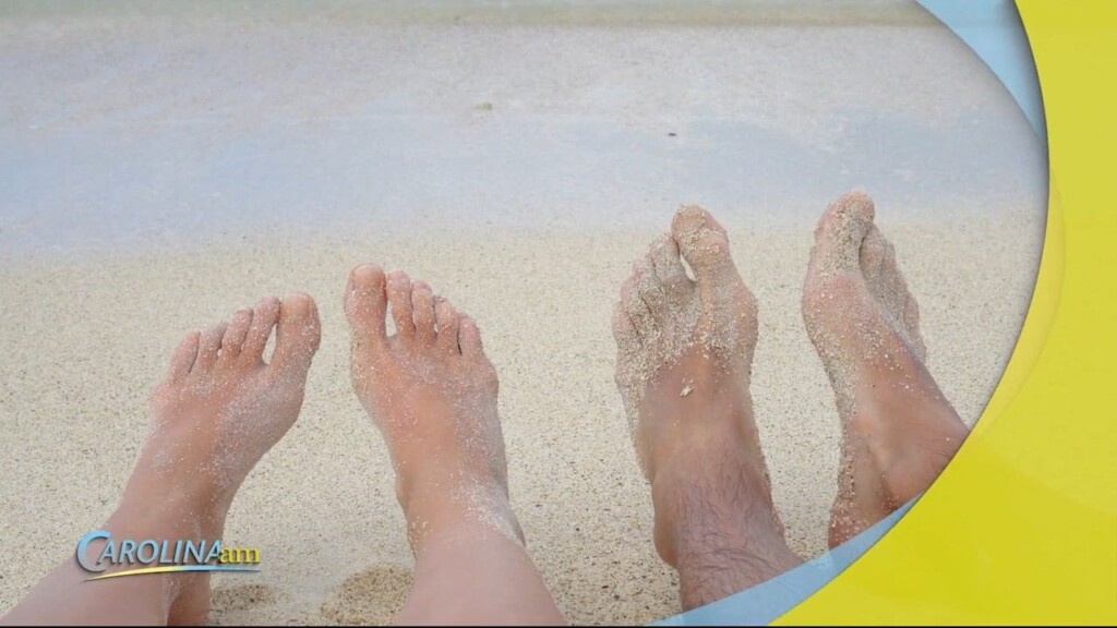 Feet