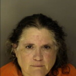 Shles Baldwin Stacy Ellen Driving Under Suspension