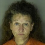 Housand Pamela Michelle Poss Weapon During Viol Crime Domestic Violence 1st Degre