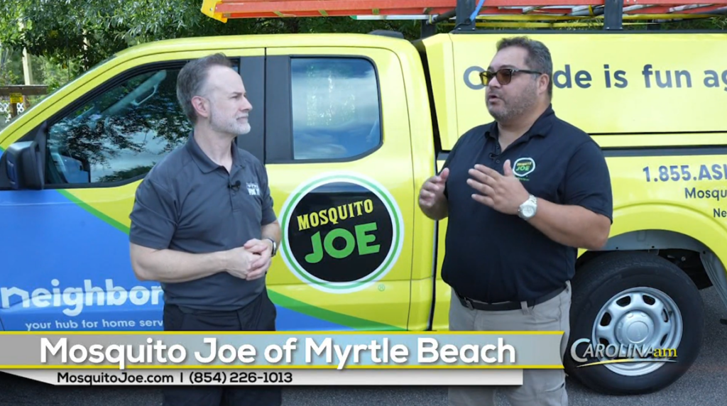 Mosquito Joe 072225