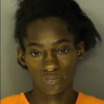 Johnson Janella Rosetta Domestic Violence 3rd Degree Pwid Methamphetamine